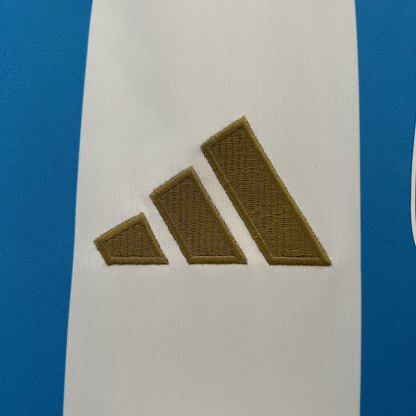 Camisa Argentina Home 24/25 - Torcedor Masculina - Lançamento